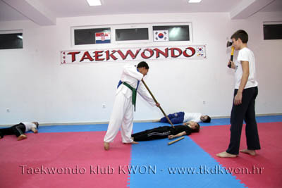 taekwondo kwon training